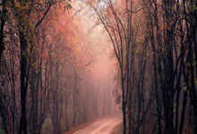 开云体育官方网站-西悉尼流浪者迎战河床，防守反击或成致胜关键