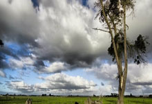 开云体育app-西悉尼流浪者新援首秀引期待，世俱杯表现备受关注