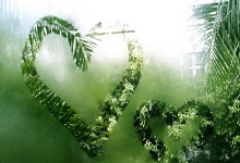 开云下载-风暴巴塞尔！10人奥地利铁血逆转47年等待终结者诞生