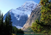 开云体育在线-恩菲尔德主场气氛火爆，球迷助威成强大后盾