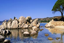 开云官网-鹿岛鹿角调整后防线，迎战欧洲豪门难度加大