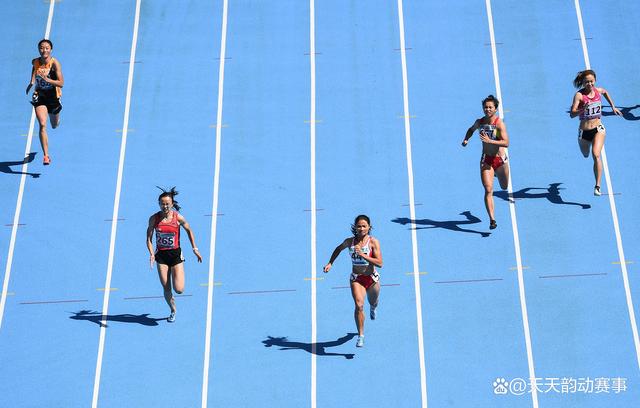 开云体育官网-速度与力量的交织，挑战体育极限的简单介绍