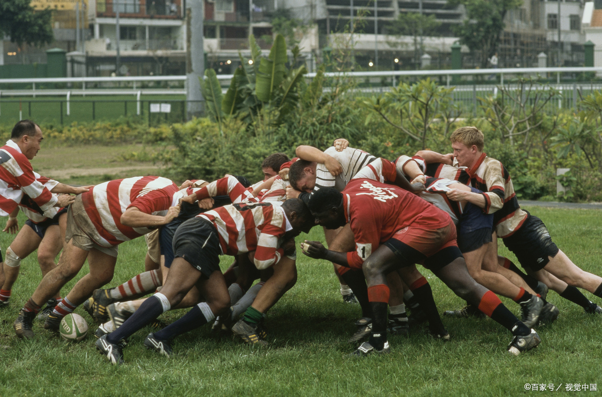 南非代表队在橄榄球比赛中勇夺冠军 南非代表队在橄榄球比赛中勇夺冠军