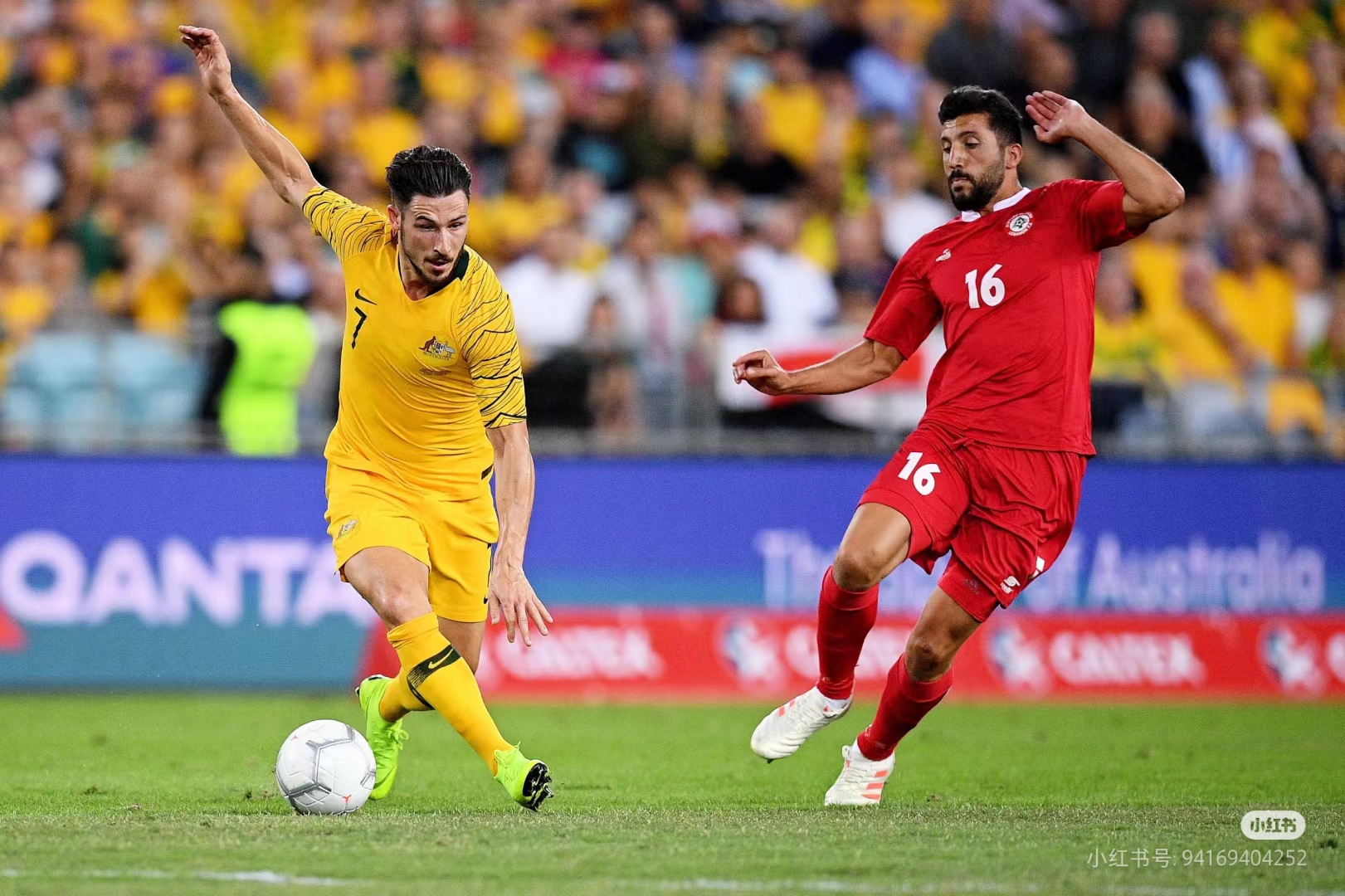 欧锦赛预选赛热爆开战，球队备战备战