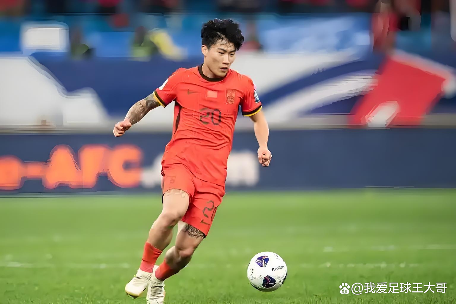 包含新生球员崭露头角，助力球队前进的词条