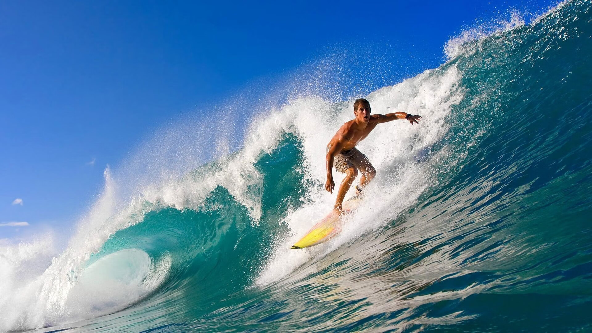 可供选择的标题