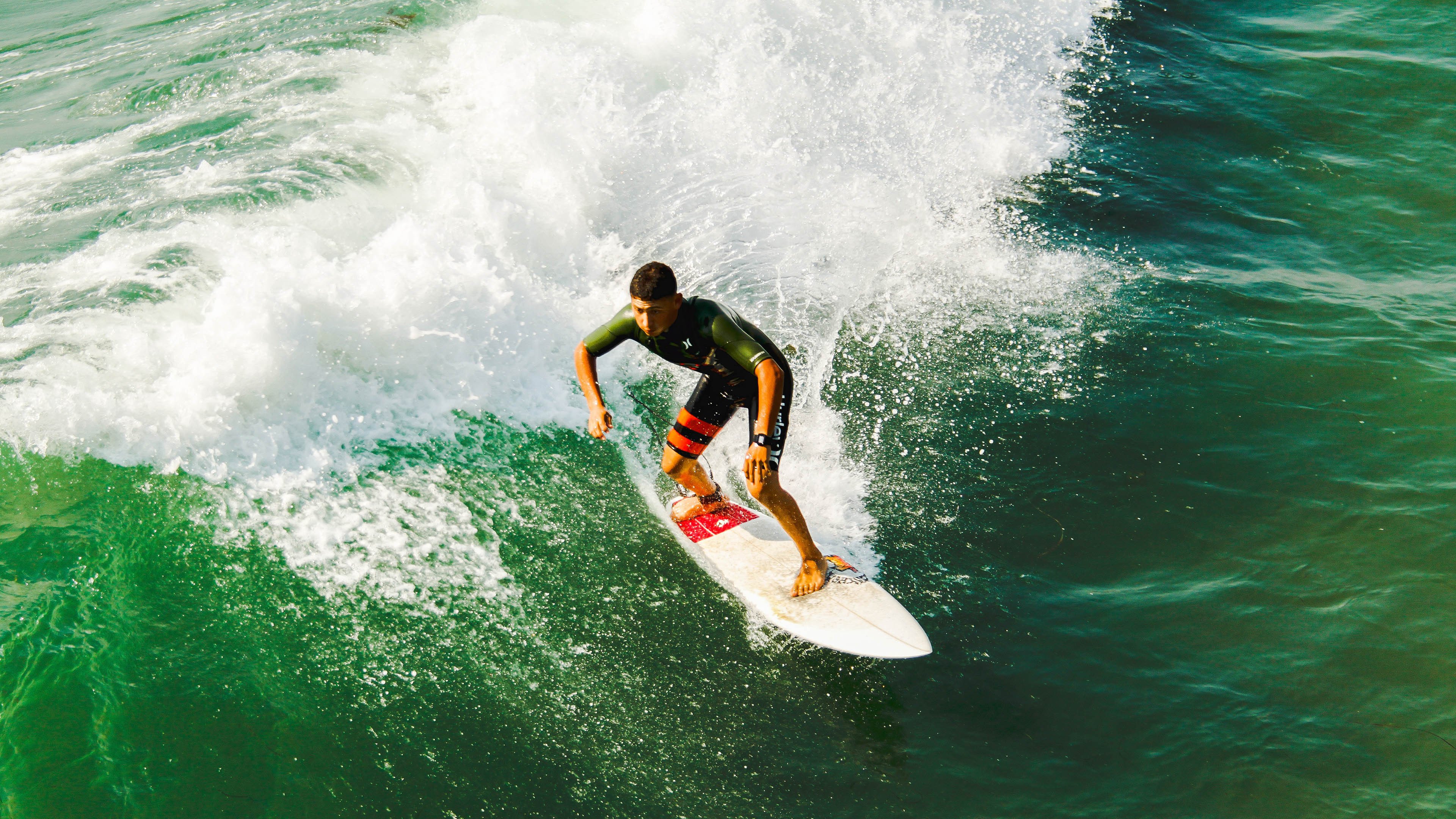 安赛龙，高墙之下，亦有巨木擎天